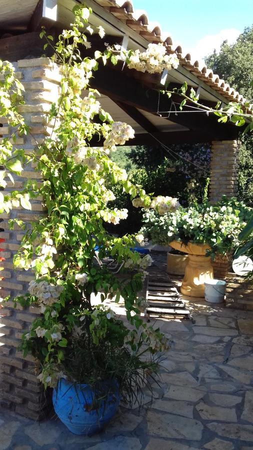 Mila La Villa Κάστρο Εξωτερικό φωτογραφία